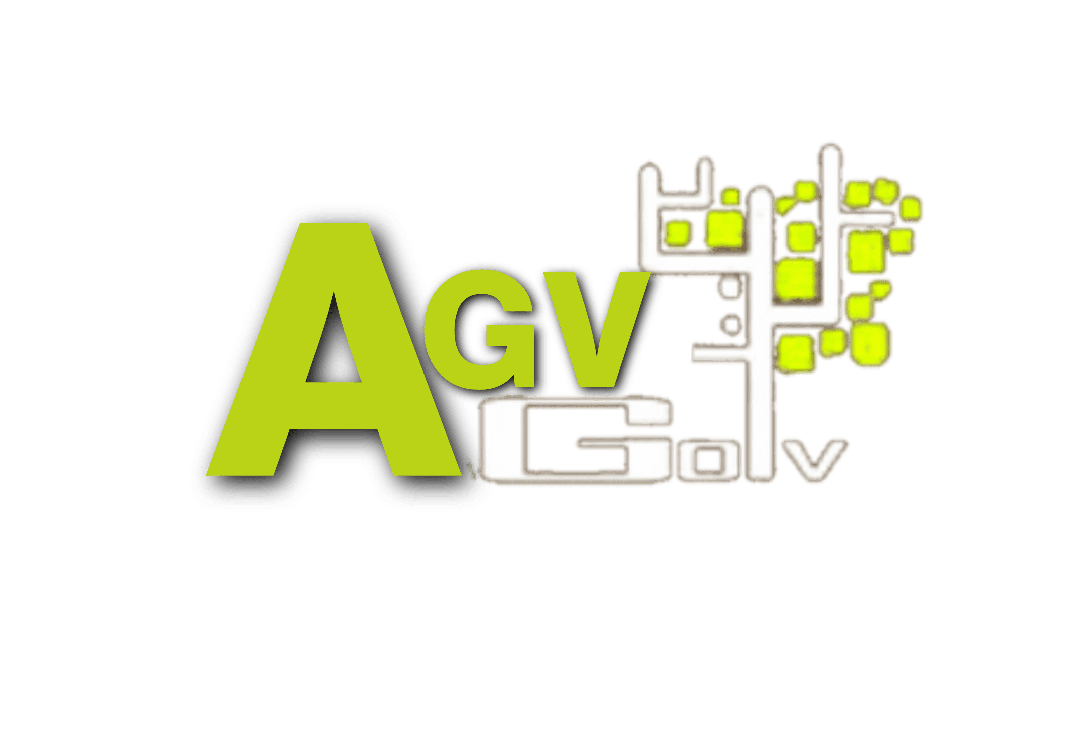 AGV Golv AB